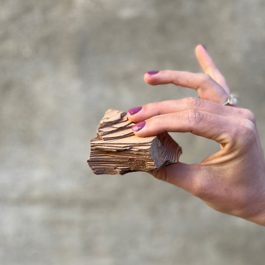 Kakao | Naturens lykkepille & sundheds-booster?