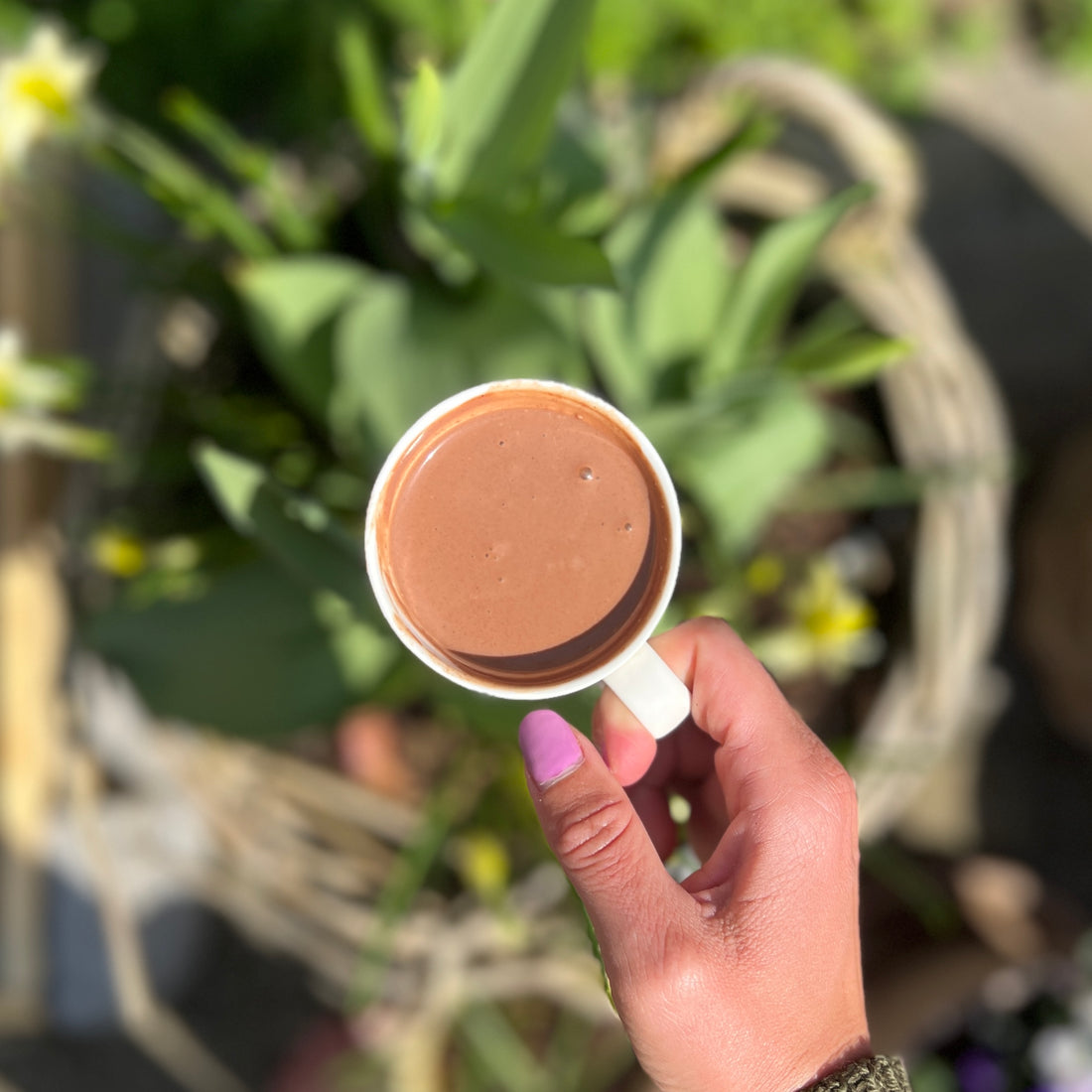 Ceremoniel Kakao har antioxidante superpowers