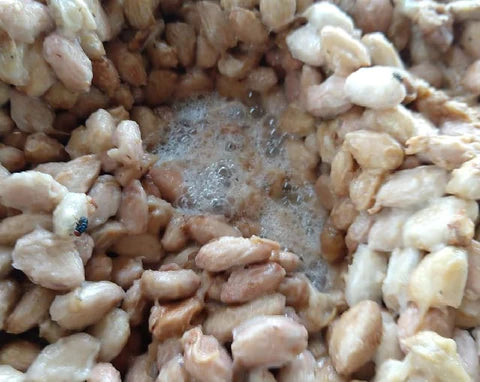 Kakaofermentering giver smag | Hvorfor? Hvordan?