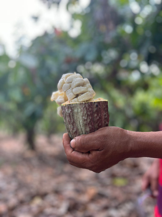 Pachamama FairTrade. Derfor har jeg lavet min egen certificering af Pachamama Kakao